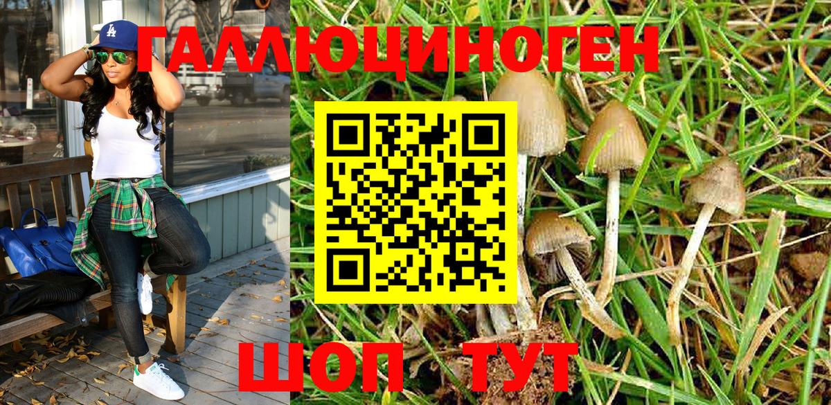 Псилоцибиновые грибы мицелий  Вход с VPN  Владимир  Псилоцибиновые грибы MAGIC MUSHROOMS 